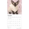 image Siamese Cats 2025 Wall Calendar Second Alternate