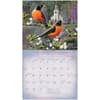 image Peace and Tranquility by Kim Norlien 2026 Wall Calendar Second Alternate Image