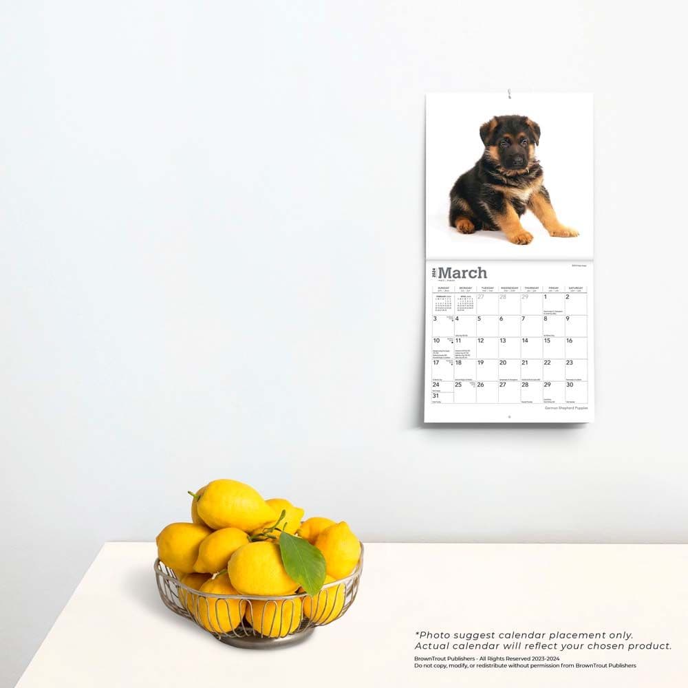 German Shepherd Puppies 2024 Mini Wall Calendar Alternate Image 3