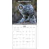 image Extremely Fowl 2025 Wall Calendar Third Alternate Image width=&quot;1000&quot; height=&quot;1000&quot;