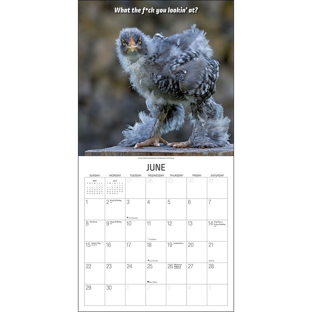 Extremely Fowl 2025 Wall Calendar Third Alternate Image width="1000" height="1000"