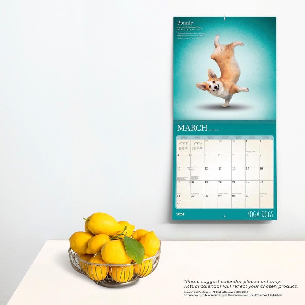 Yoga Dogs 2024 Wall Calendar Third Alternate Image width=&quot;1000&quot; height=&quot;1000&quot;