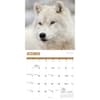 image Wolves 2025 Wall Calendar Fourth Alternate Image width=&quot;1000&quot; height=&quot;1000&quot;