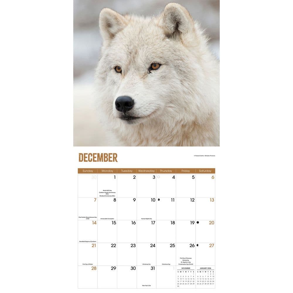 Wolves 2025 Wall Calendar