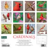 image Cardinals 2024 Wall Calendar Alternate Image 1