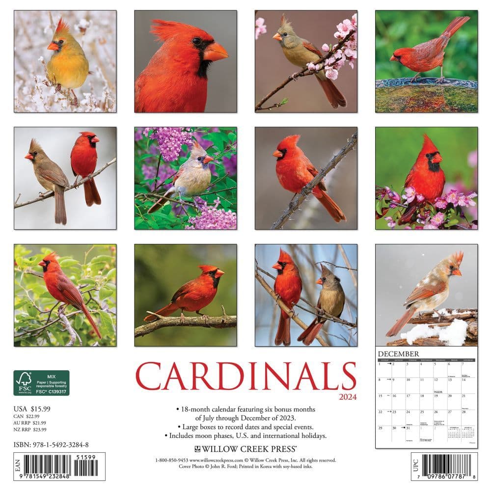 Cardinals 2024 Wall Calendar Alternate Image 1