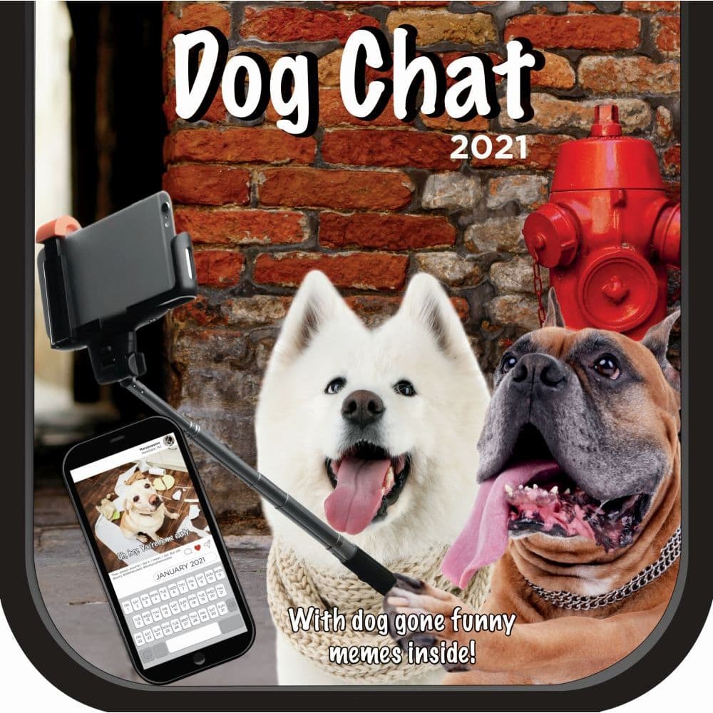 Dog Chat Wall Calendar