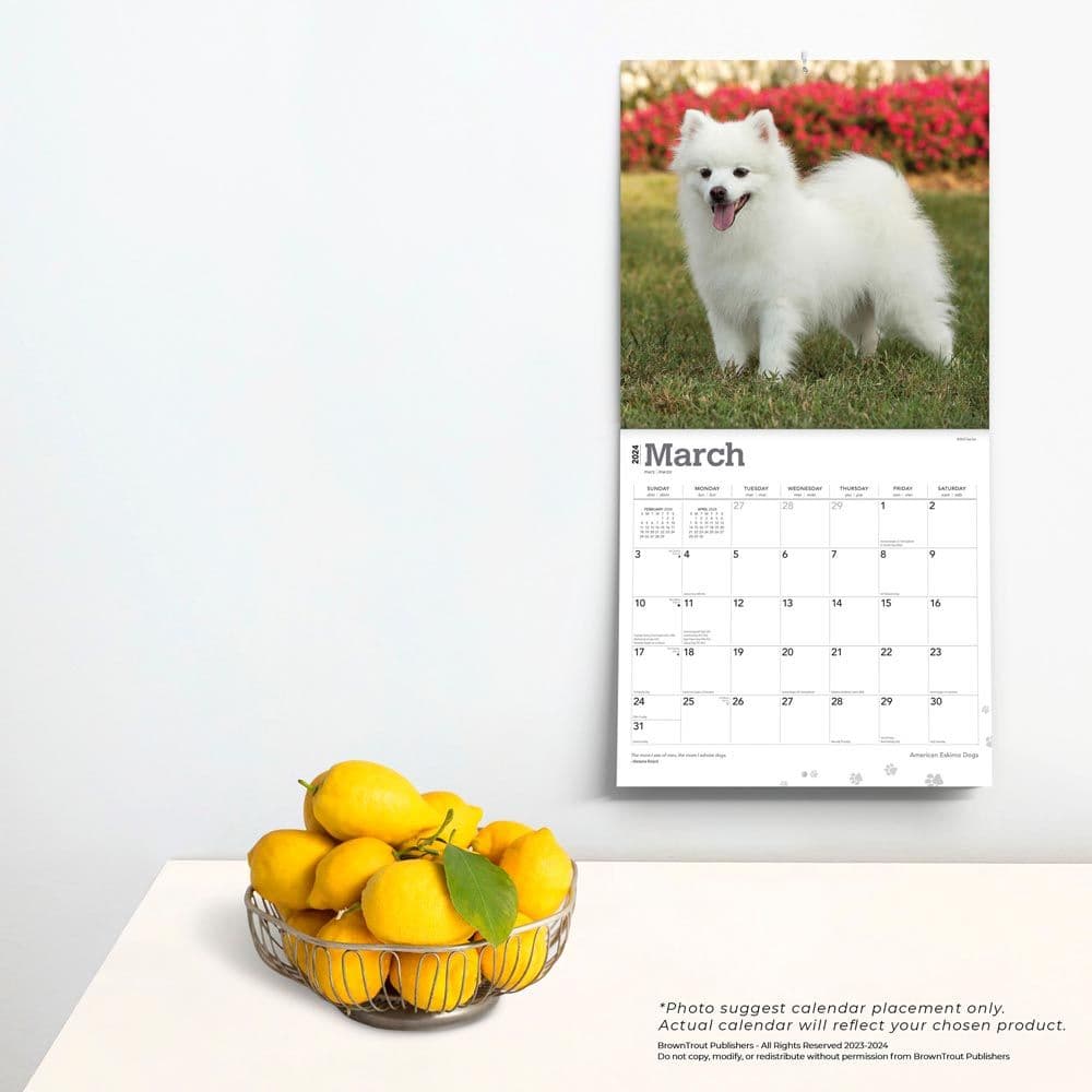 American Eskimo Dogs 2024 Wall Calendar Third Alternate Image width=&quot;1000&quot; height=&quot;1000&quot;