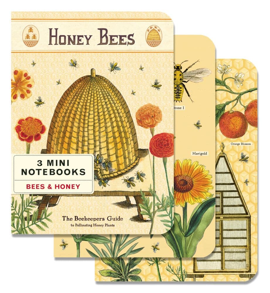 Cavallini Papers & Co. Bees & Honey Mini Notebooks (3 pack)