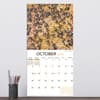 image Animals In Motion 2024 Wall Calendar Third Alternate Image width="1000" height="1000"