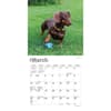 image Dachshunds 2024 Mini Wall Calendar Second Alternate Image width=&quot;1000&quot; height=&quot;1000&quot;