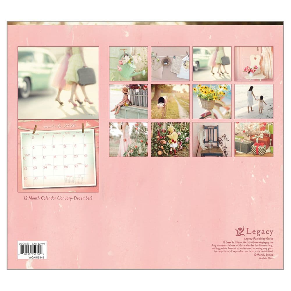 Vintage Pink by Mandy Lynne 2026 Wall Calendar First Alternate Image