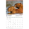 image Capybara WWF 2026 Wall Calendar Third Alternate Image