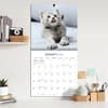 image Curious Kittens 2026 Wall Calendar_ALT4