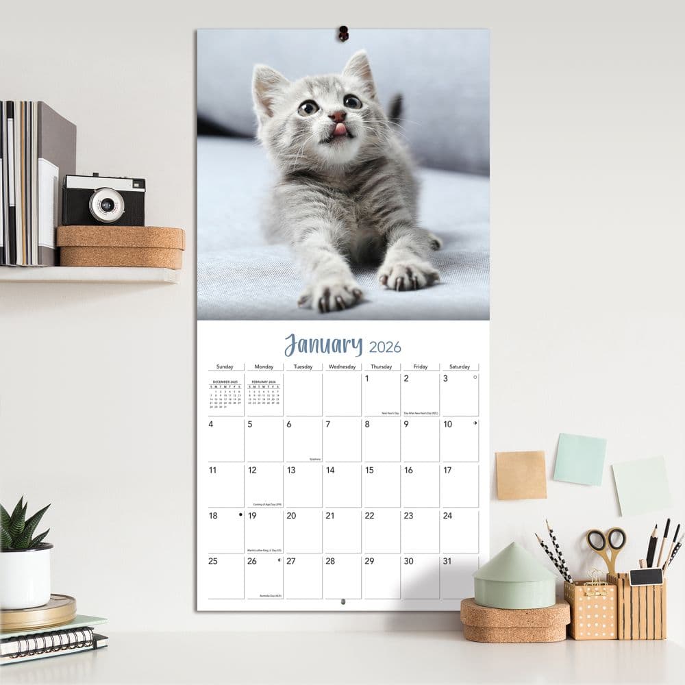 Curious Kittens 2026 Wall Calendar_ALT4