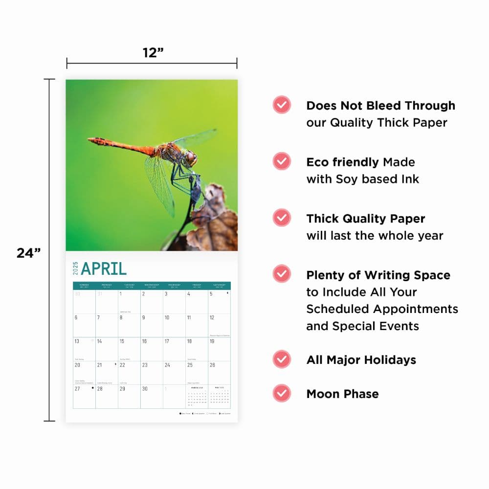 Dragonflies 2025 Wall Calendar Fourth Alternate Image width="1000" height="1000"