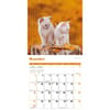 image Kittens Curious 2025 Wall Calendar Fourth Alternate Image width=&quot;1000&quot; height=&quot;1000&quot;