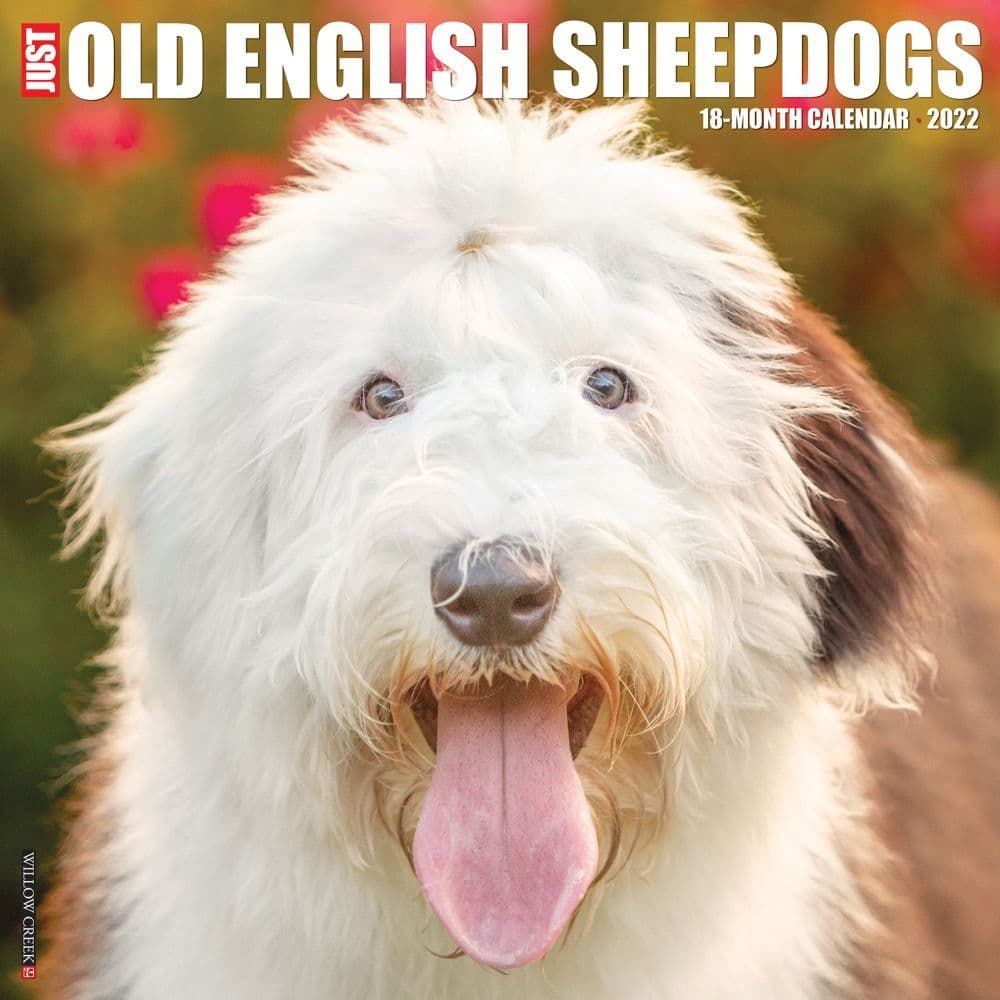 Old English Sheepdogs 2022 Wall Calendar
