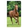 image Horses Lovers 2 Year Pocket 2024 Planner Main Product Image width=&quot;1000&quot; height=&quot;1000&quot;