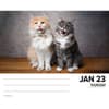 image Cats 2025 Desk Calendar Second Alternate Image