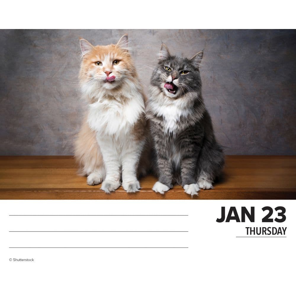 Cats 2025 Desk Calendar Second Alternate Image