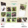 image Chocolate Lab Retriever Puppies 2025 Wall Calendar First Alternate Image