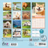 image Dog is Good Fur Wisdom 2025 Wall Calendar First Alternate Image width="1000" height="1000"