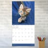 image Kittens 2025 Wall Calendar Third Alternate Image