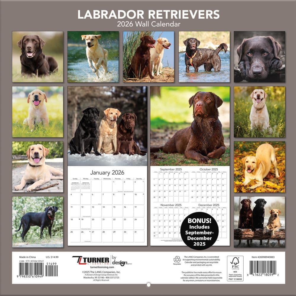 Labrador Retreivers Photo 2026 Wall Calendar_ALT1