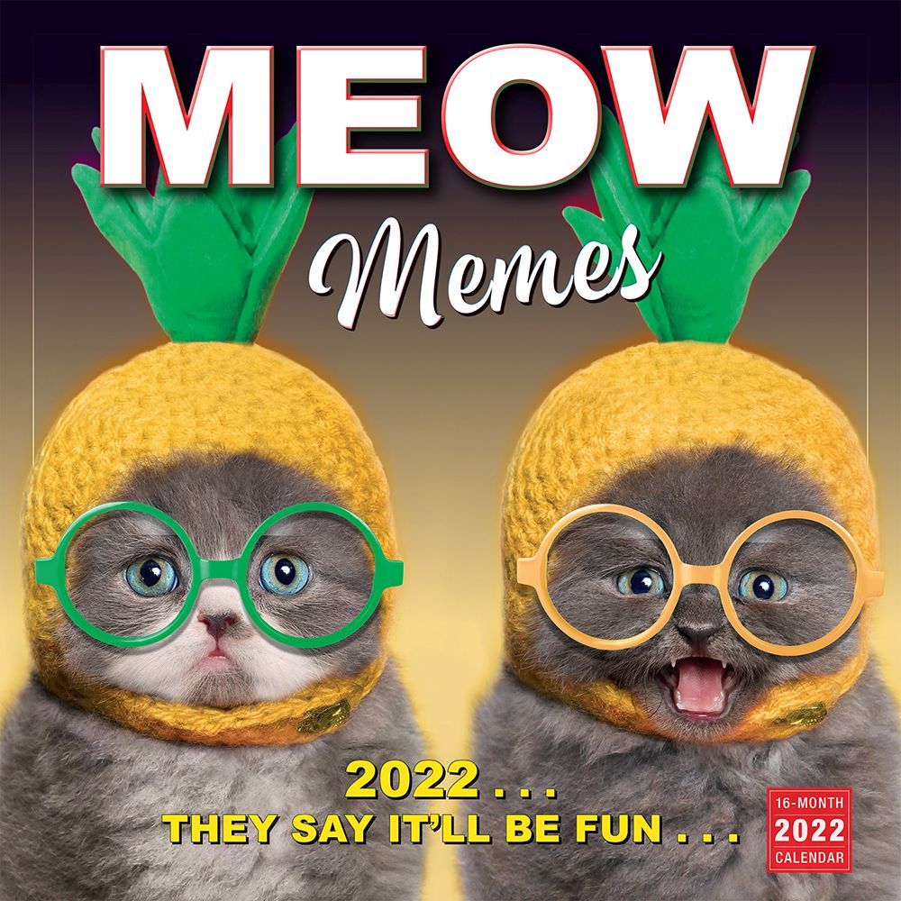 Meow Memes 2022 Wall Calendar - Calendars.com