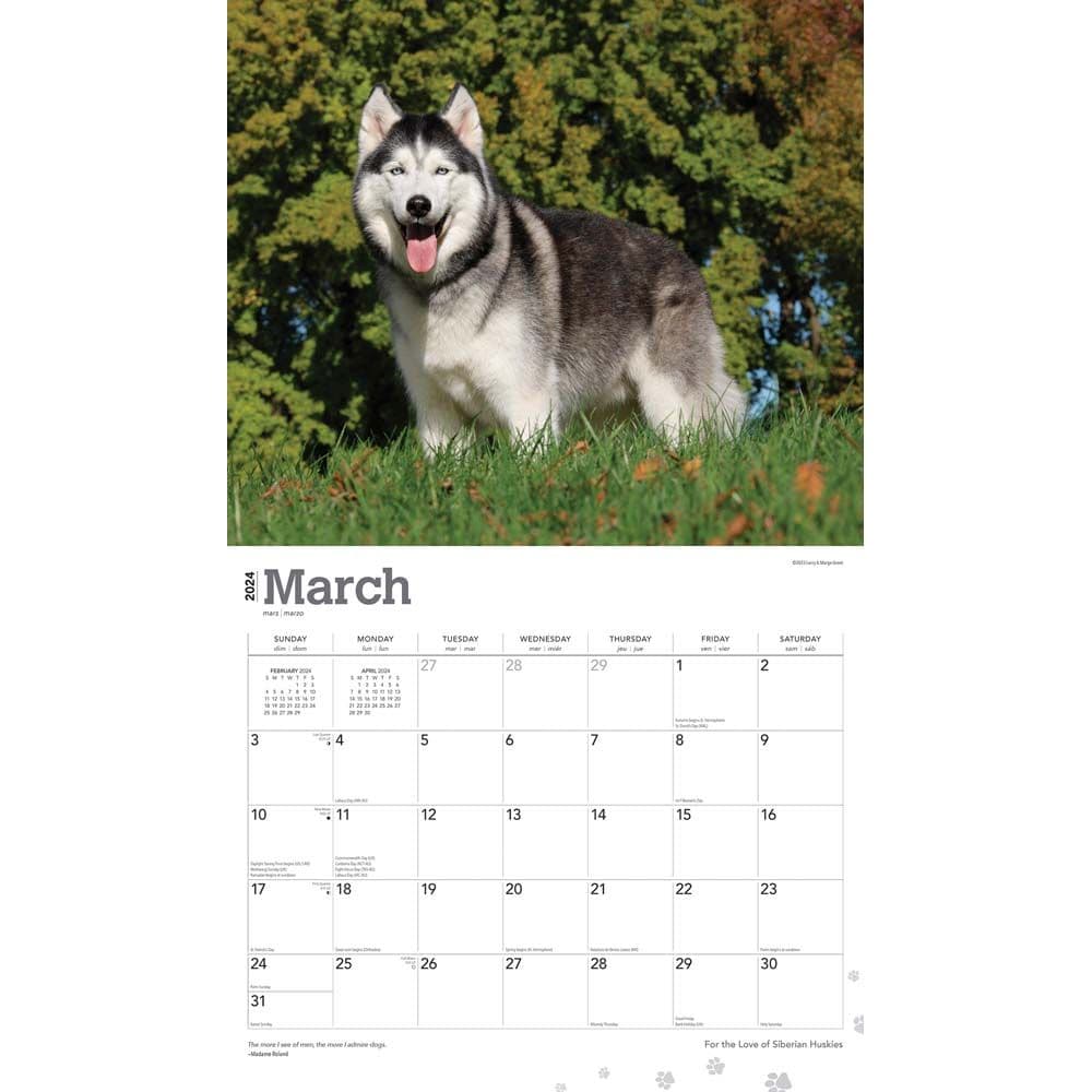 Siberian Huskies Deluxe 2024 Wall Calendar