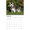 image Siberian Huskies Deluxe 2024 Wall Calendar Second Alternate Image width=&quot;1000&quot; height=&quot;1000&quot;