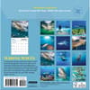 image Shark 2027 Mini Wall Calendar First Alternate Image