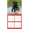 image Labrador Retrievers Photo 2024 Wall Calendar Third Alternate 
Image width=&quot;1000&quot; height=&quot;1000&quot;