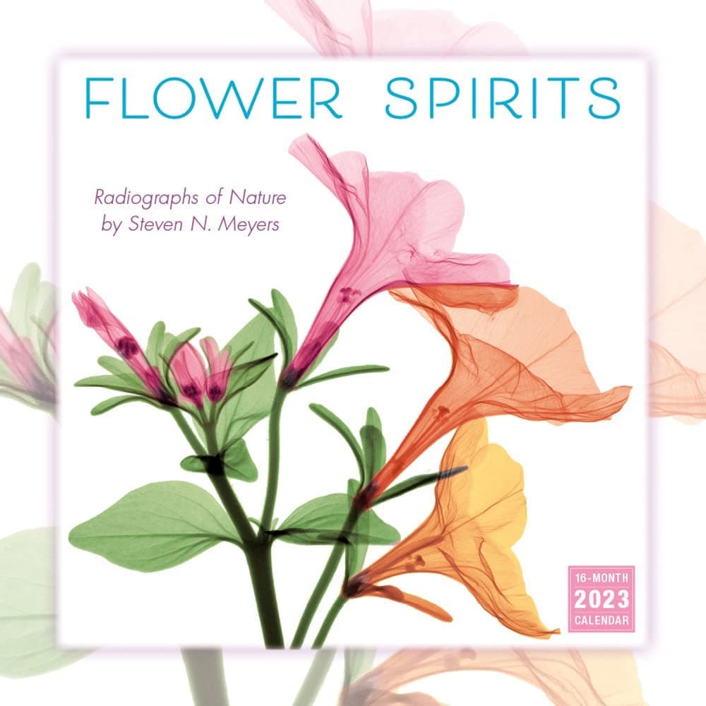 Flower Spirits 2023 Wall Calendar by Sellers Publishing Calendars For All