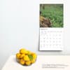 image Ohio Nature 2025 Wall Calendar Fourth Alternate Image