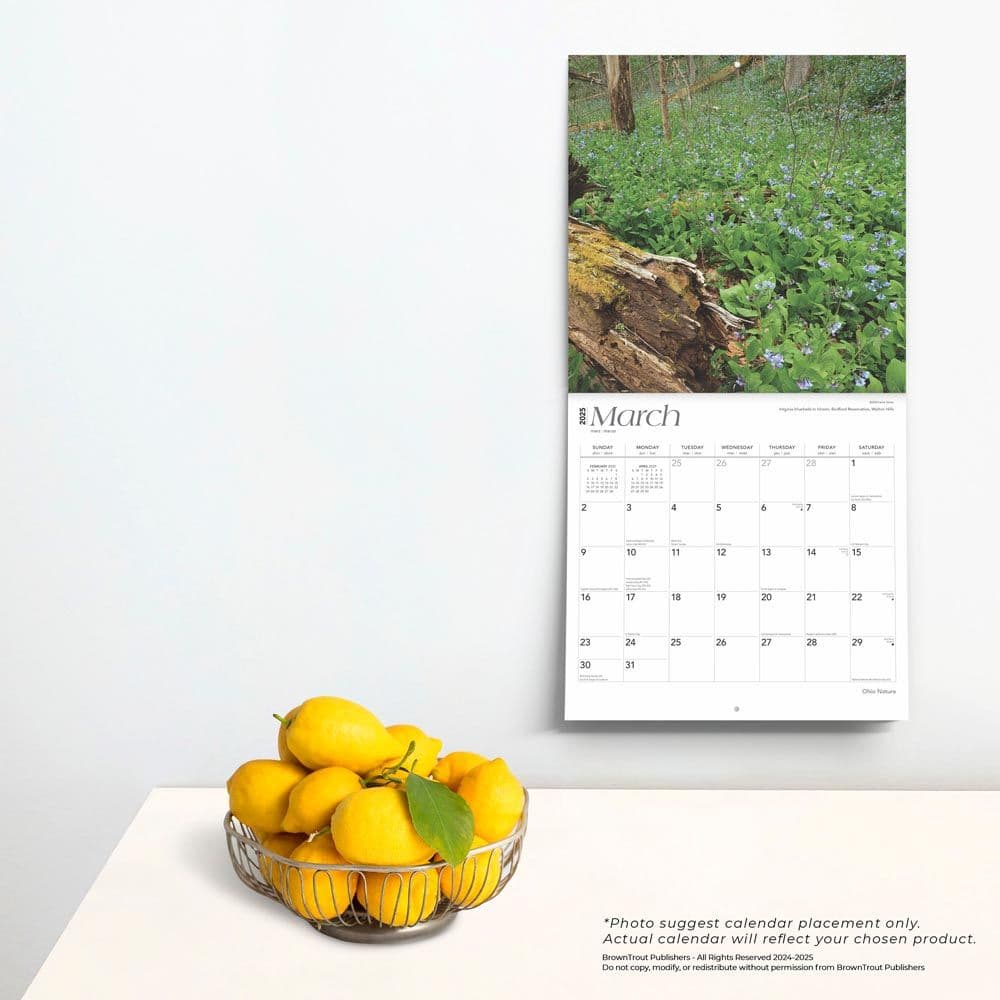 Ohio Nature 2025 Wall Calendar Fourth Alternate Image