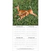 image White Tailed Deer 2027 Wall Calendar Second Alternate Image