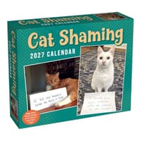 image Cat Shaming 2027 Desk Calendar Main Product Image