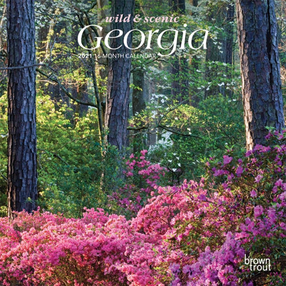 2021 Georgia Mini Wall Calendar