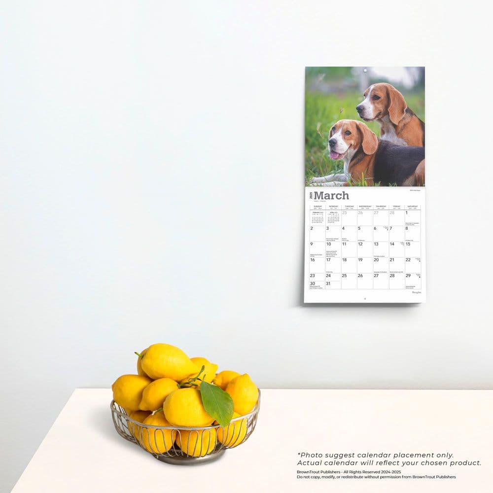 Beagle 2025 Mini Wall Calendar - Calendars.com