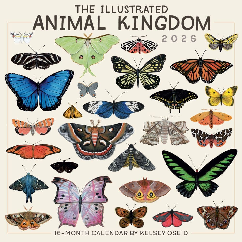 Illustrated Animal Kingdom 2026 Wall Calendar Main Product Image