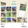 image Donkeys 2025 Wall Calendar First Alternate Image