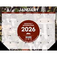 image Mushrooms 22x17 2026 Desk Pad Main Product Image