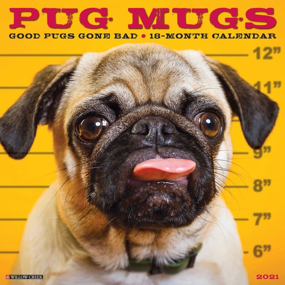 Pug Mugs Wall Calendar