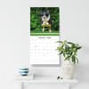 image Border Collies 2026 Wall Calendar Third Alternate Image