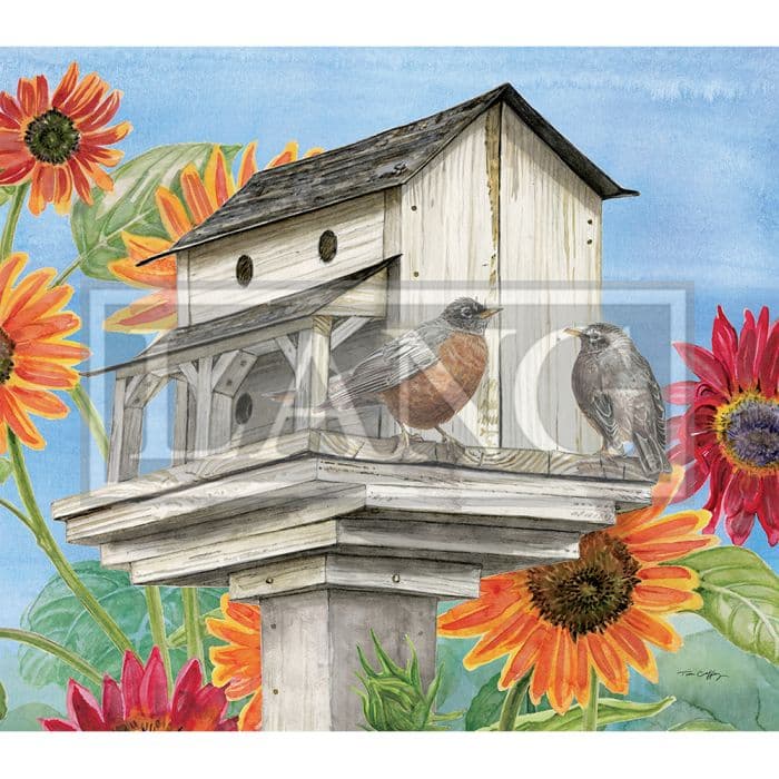 Birdhouses 2024 Desktop Wallpaper Calendars Com   88ff32cf 296e 4faa Ad27 C1537089996b