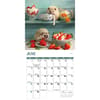 image Hedgehogs 2025 Wall Calendar Alt2