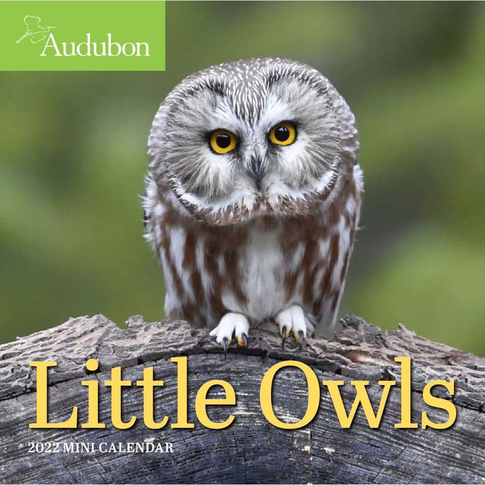 Audubon Little Owls 2022 Mini Wall Calendar