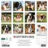 image Saint Bernards 2025 Wall Calendar First Alternate  Image width=&quot;1000&quot; height=&quot;1000&quot;